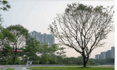 选用国表里出名品牌修材料